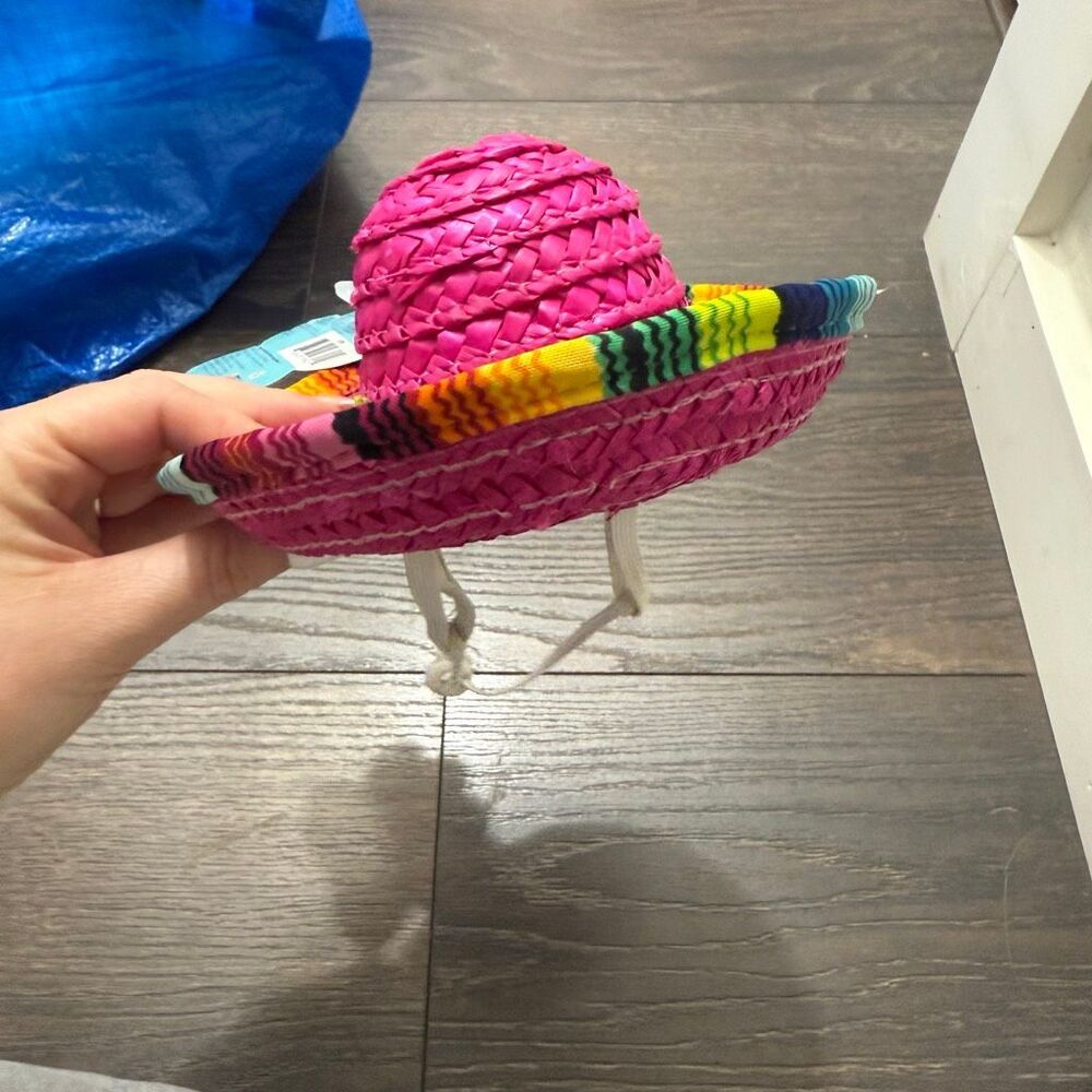 Pet Shop Dog Sombrero Hat New Mexico